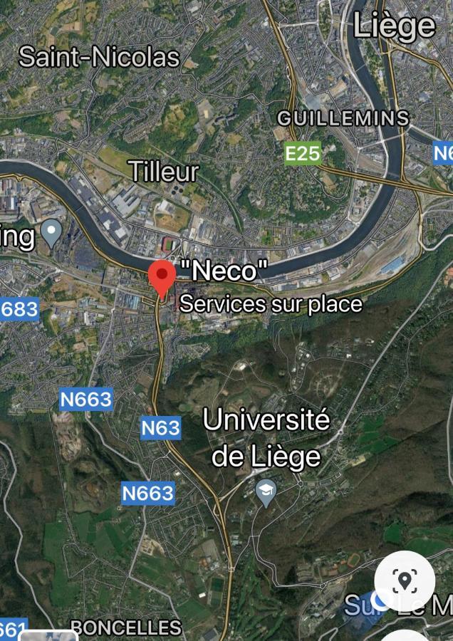 Fenetre Sur Le Standard De Liege Daire Ougree Dış mekan fotoğraf
